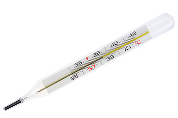 Image showing Medical Thermometer