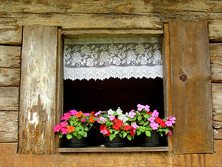 Image showing Window