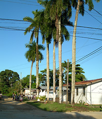 Image showing panama 289