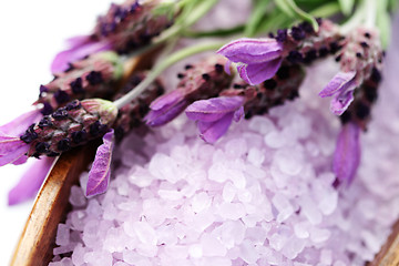 Image showing lavender bath salt