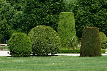 Image showing Sculpted garden