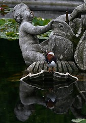 Image showing Statue and bird in pond