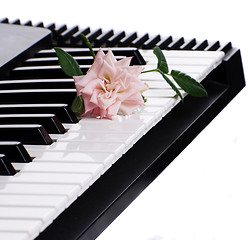 Image showing Rose On Piano