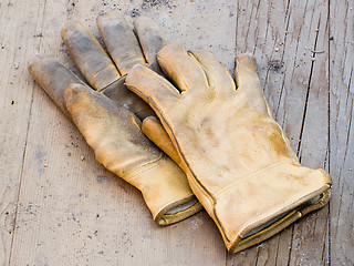 Image showing Work Gloves