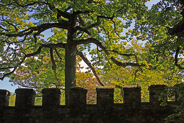 Image showing Saalburg Roman Fort