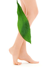 Image showing female legs with green leaf