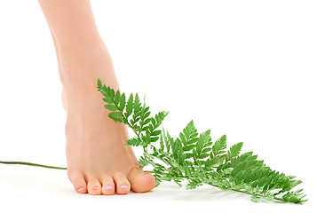 Image showing female foot with green fern leaf