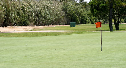 Image showing Golf