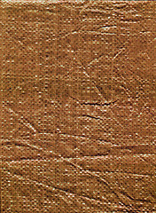 Image showing Brown canvas