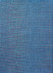 Image showing Pale Blue Canvas