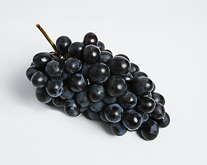 Image showing Black vine