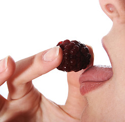 Image showing Eating berries.