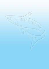 Image showing background with shark