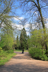 Image showing Summer landscape