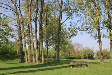 Image showing Summer landscape