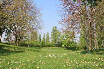 Image showing Summer landscape