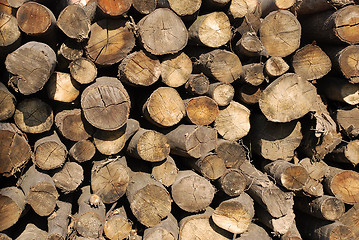 Image showing Wood pile