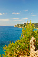 Image showing mallorca