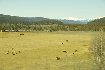 Image showing coast mountains