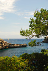 Image showing majorca