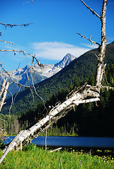 Image showing coast mountains