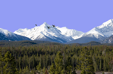 Image showing coast mountains