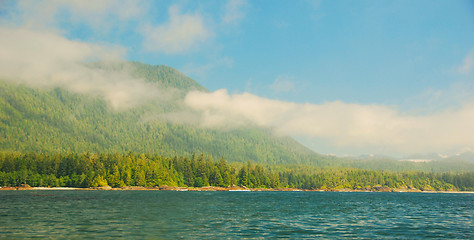 Image showing morning fog