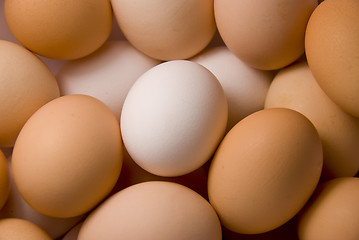 Image showing eggs