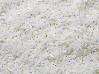 Image showing rice