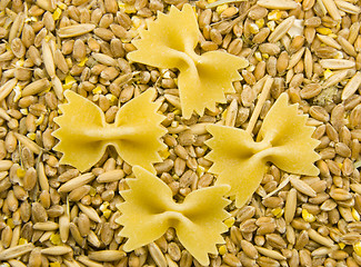 Image showing grain and noodles