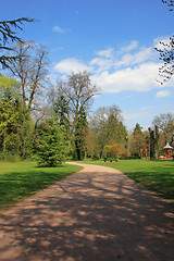 Image showing Summer landscape