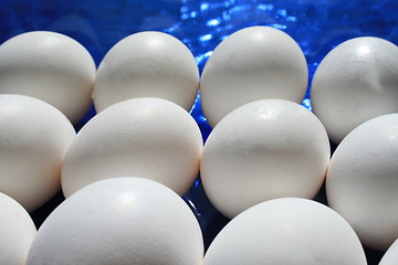 Image showing Chicken Eggs