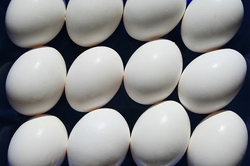 Image showing Chicken Eggs