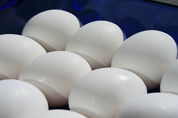Image showing Chicken Eggs