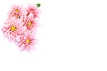 Image showing pink dahlia