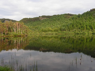 Image showing reflection in water