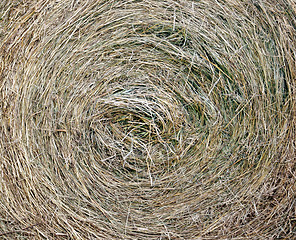 Image showing Straw