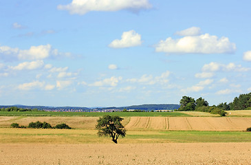 Image showing Landscape