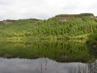 Image showing Water reflections