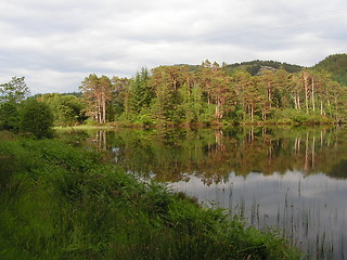 Image showing Reflections in water