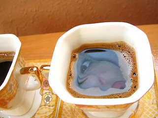 Image showing coffee cup with woman face