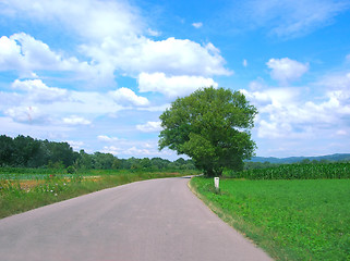 Image showing Country road