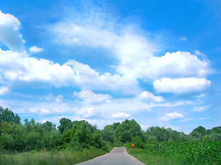 Image showing Country road