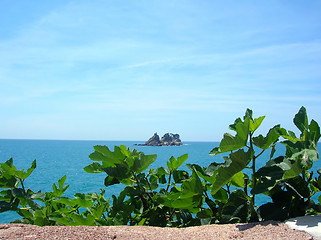 Image showing island in sea over green leaves