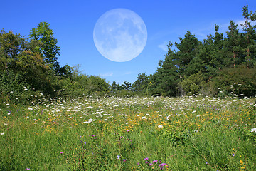 Image showing Meadow With Moon