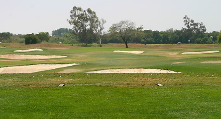 Image showing Golf