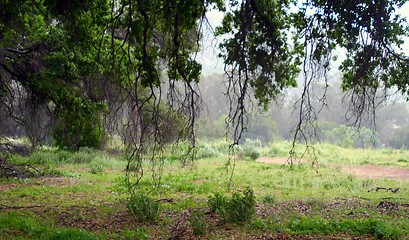 Image showing Santa Susana Mountains