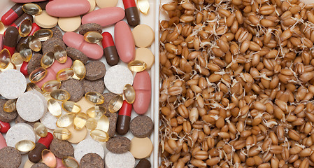 Image showing Pill and tablet vs wheat