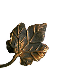 Image showing Iron leaf