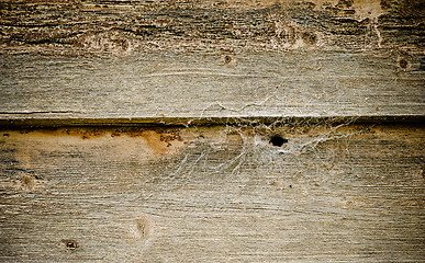 Image showing old grungy wood background texture